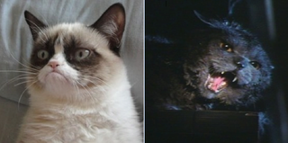 Illustration for article titled It’s time to remake the 1991 killer-cat movie Strays